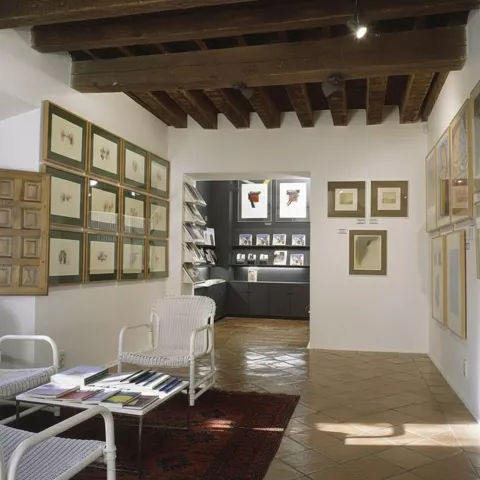 Pasillo expositivo con obras enmarcadas.