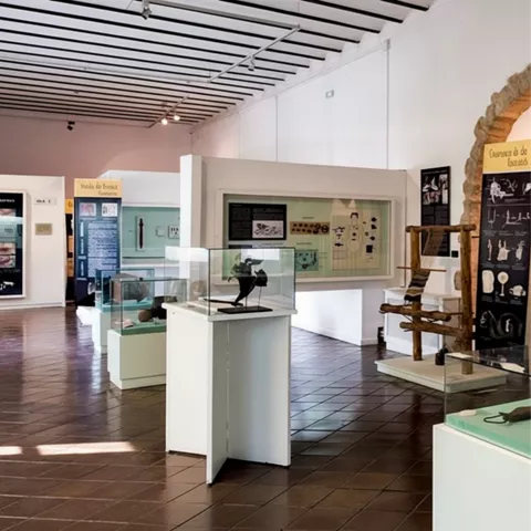 Espacio expositivo con vitrinas y paneles didácticos.