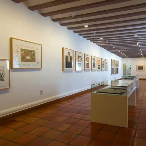 Galería luminosa con dibujos enmarcados y vitrinas bajas.