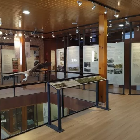 Interior con paneles explicativos y pasarela acristalada.