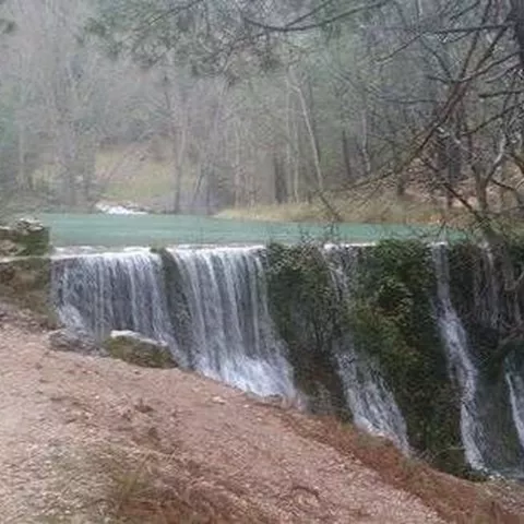 Cascada de agua blanca entre pinos y vegetación del bosque.