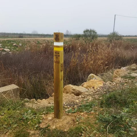 Poste de señalización de sendero junto a vegetación de ribera