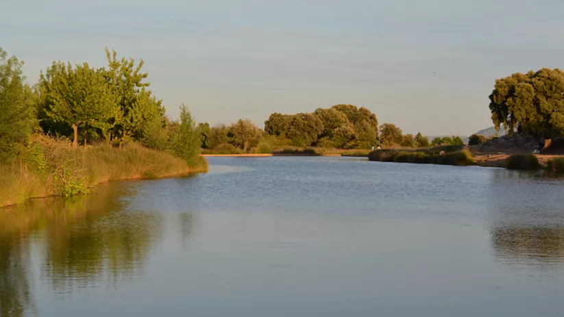 Lago rodeado de vegetación y árboles bajo un cielo despejado.