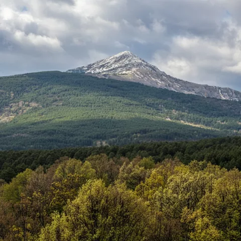 Pico destacado sobre bosque frondoso en primer plano.