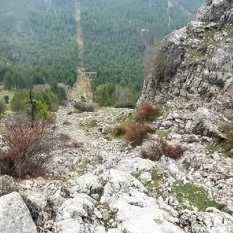 Ladera rocosa con piedras sueltas y vista a un valle cubierto de pinos.