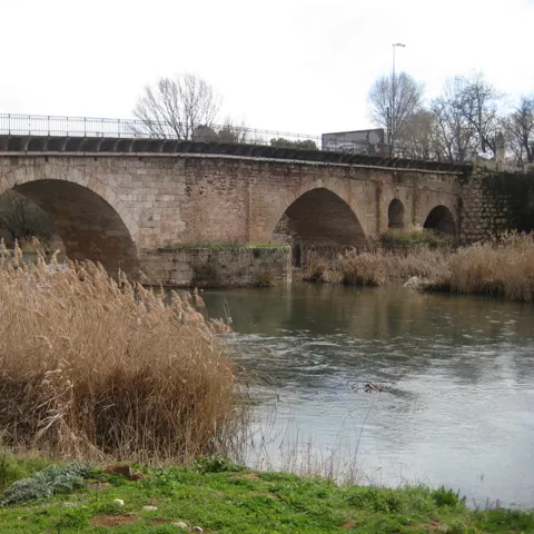 Puente antiguo entre vegetación de ribera.