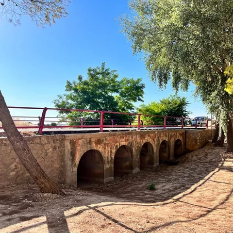 Puente de piedra con varios arcos entre árboles.