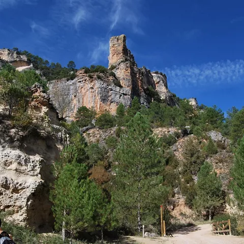 Aguja rocosa del cañón.