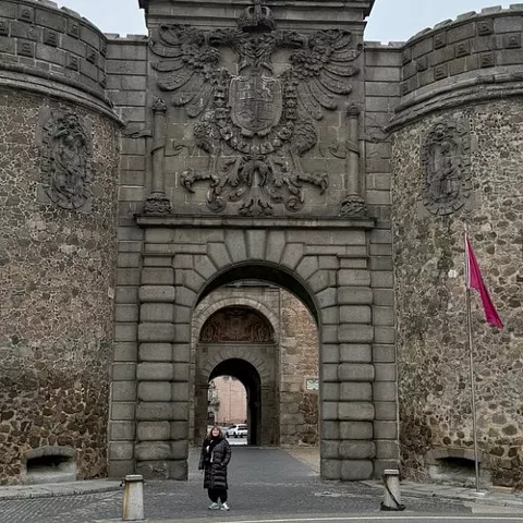 Detalle frontal de puerta amurallada con arco central y torres cilíndricas.
