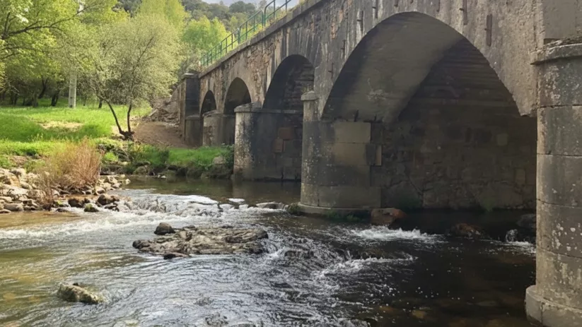 Puente de piedra sobre un río entre árboles