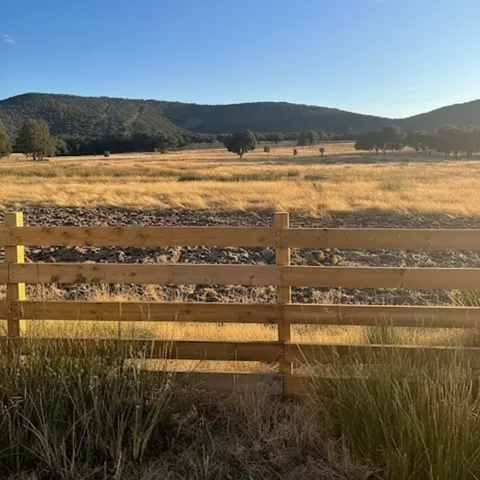 Cerca de madera frente a una llanura de pasto seco