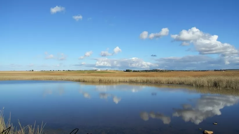 Paisaje de laguna con nubes reflejadas y vegetación ribereña.