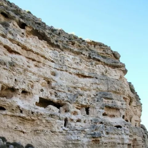 Acantilado rocoso con cavidades y aberturas excavadas sobre matorral bajo.