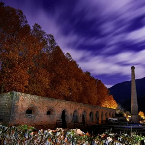 Complejo industrial iluminado de noche con chimenea y árboles otoñales.