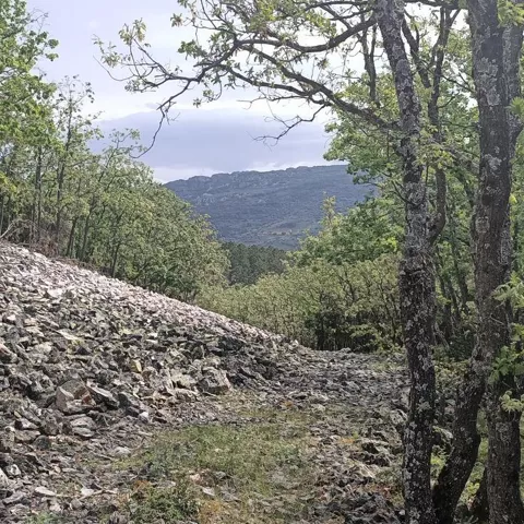 Paisaje de montaña con rocas, matorral y cerca metálica.