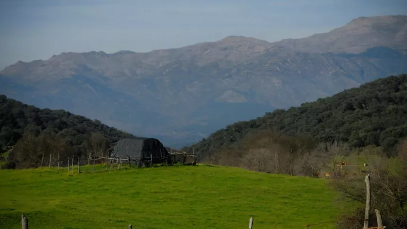 Pradera verde entre colinas con montañas al fondo