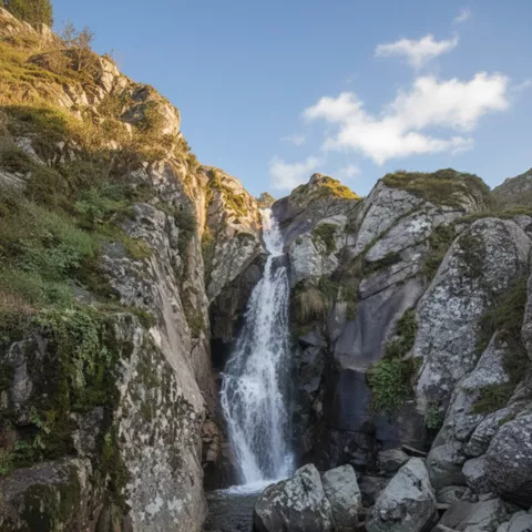 Pequeñas cascadas y agua entre rocas cubiertas de musgo en una ladera.