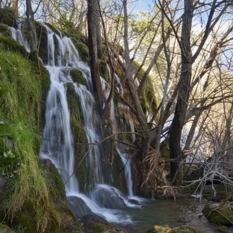 Cascada entre rocas cubiertas de musgo, rodeada de árboles en un bosque húmedo.