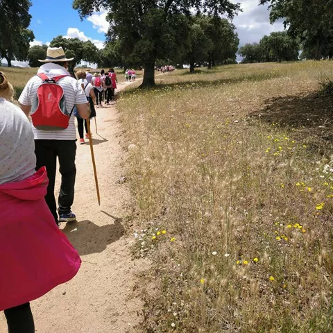 Grupo de senderistas por un camino rural
