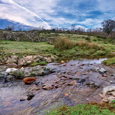 Arroyo entre rocas y pradera verde.