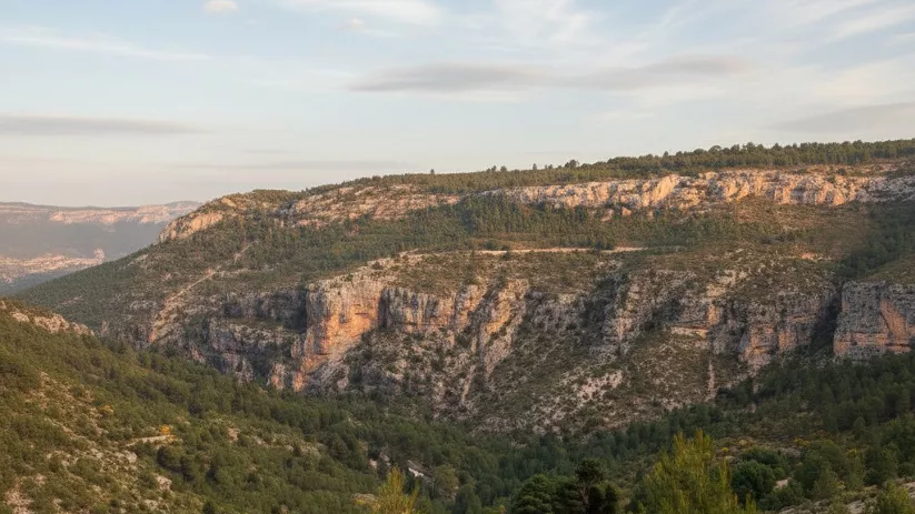 Valle boscoso rodeado de escarpes rocosos al atardecer