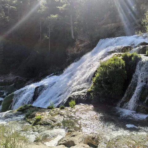 Cascada en paisaje natural de bosque