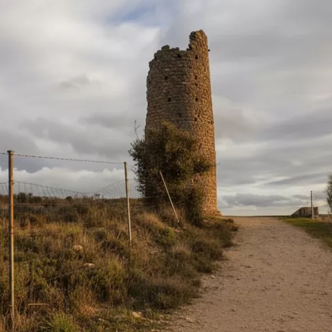 Torre de piedra en ruinas junto a un camino