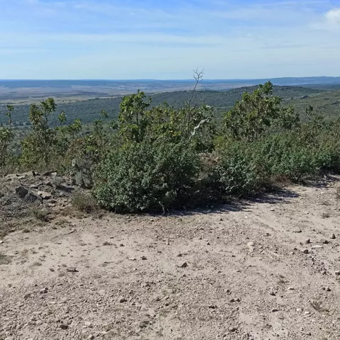 Camino rural con vistas panorámicas naturales.