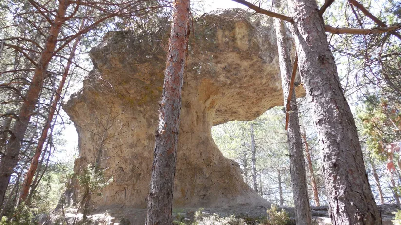 Arco natural de roca en paisaje forestal.
