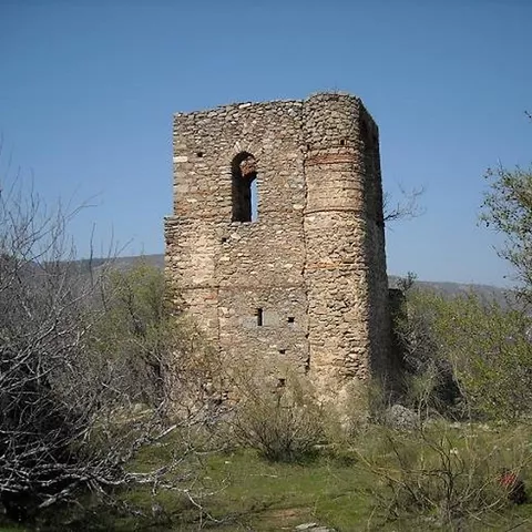 Torre de piedra aislada entre matorrales y terreno natural.