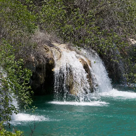 Cascada corta cayendo sobre una poza de agua turquesa entre árboles.