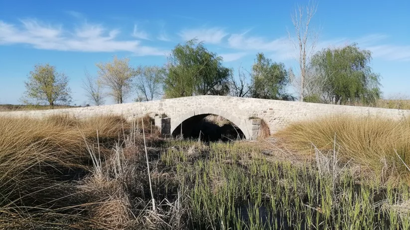 Un puente de piedra de un solo arco cruzando un arroyo rodeado de juncos altos y secos, con un grupo de árboles al fondo bajo un cielo azul con nubes ligeras.