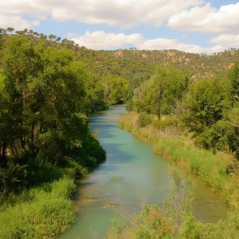 Río rodeado de vegetación de ribera y colinas