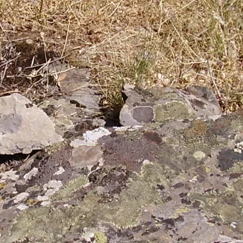 Detalle de rocas volcánicas fracturadas sobre suelo natural