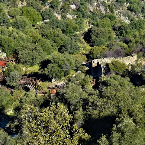 Pasarelas de madera entre vegetación y restos de muros
