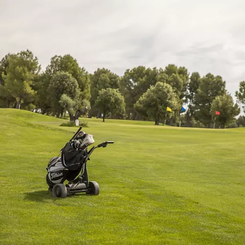 Carro de golf estacionado junto a green con banderas visibles.