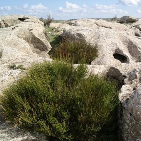 Superficie rocosa con oquedades y matorral bajo en entorno abierto