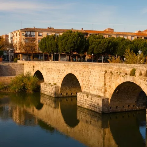 Puente de piedra junto a una zona urbana, con árboles y edificios al fondo.