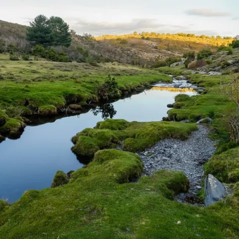 Arroyo entre praderas verdes y colinas suaves