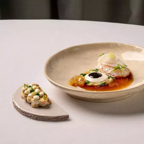 Plato gourmet servido en cuenco con ingredientes delicadamente dispuestos.