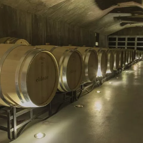 Barricas de vino DOP Pago Rosalejo