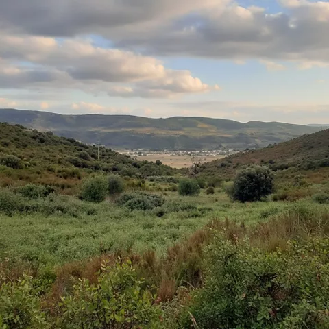 Panorama de la microrreserva Cuerda de la Melera