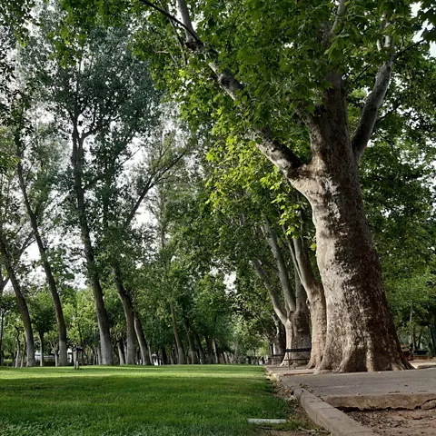 Paraje natural de El Peral en Valdepeñas