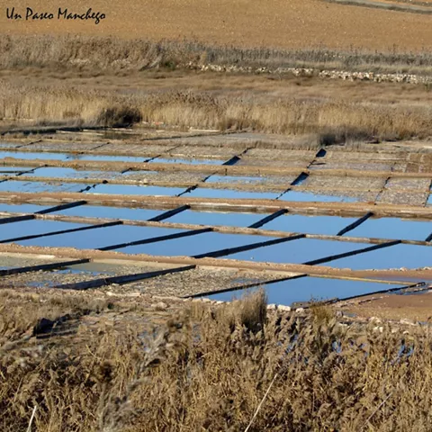 Detalle de las Salinas de Pinilla