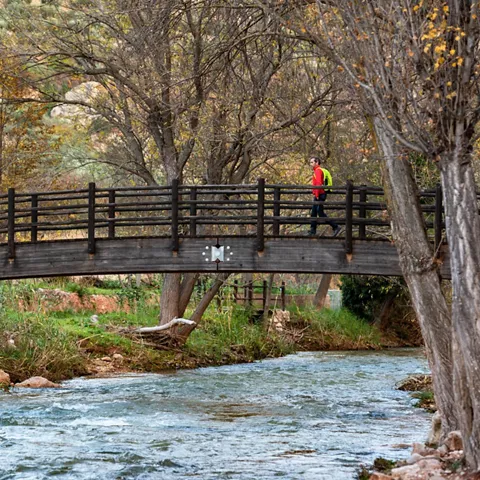 Ruta senderista de Ayna a Alcadima