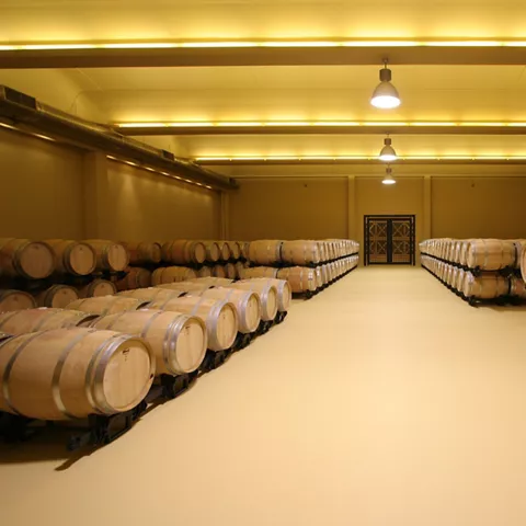 Barricas del Vino de Pago Vallegarcía