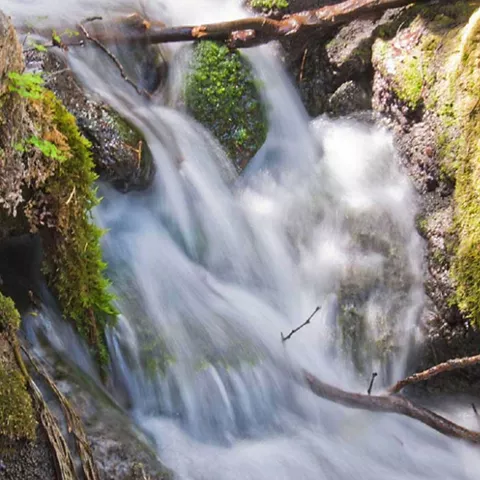Charco Pataco, piscina natural de Letur 