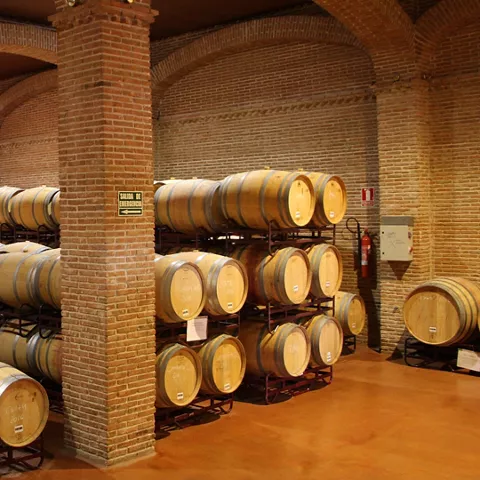 Barricas en el Pago Dehesa del Carrizal