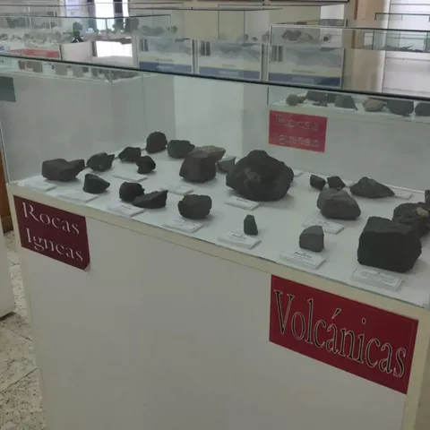 Exposición de rocas en el Museo AVAN