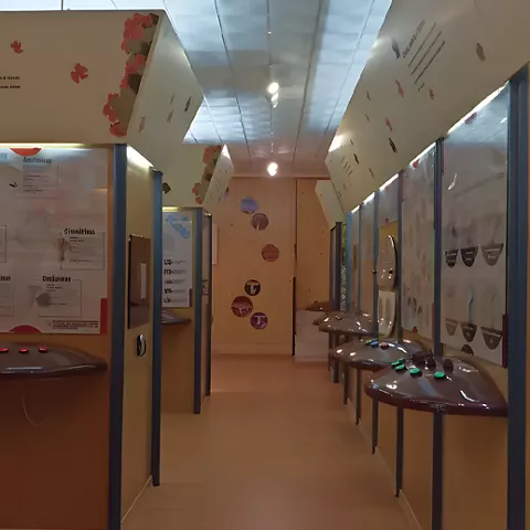 Interior del Museo del Níscalo en Molinicos